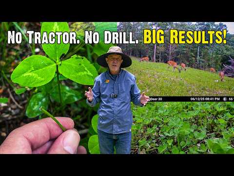 Growing Clover in Rocky Soil: Do’s and Don’ts