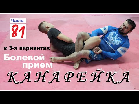 Армен Ананян – Часть 81 Три варианта выхода на Канарейку