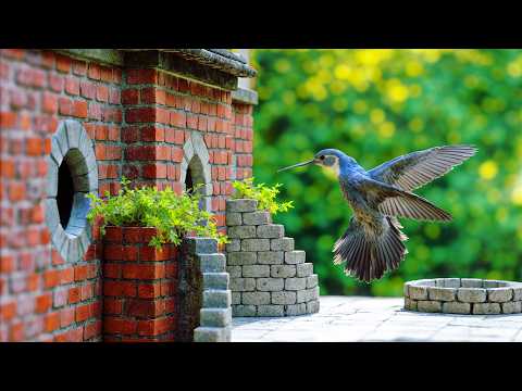 I Built an Airbnb for Birds (with reactions)