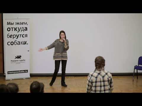 Лекция зоопсихолога о взаимодействии со своей собакой. Часть 4: Ответы на вопросы