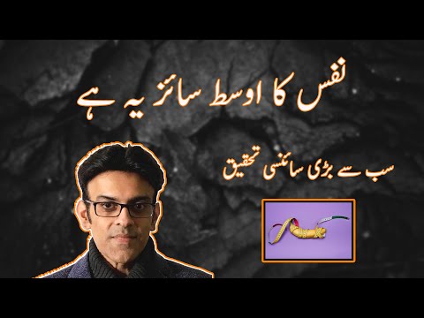 What Is A Normal Average Penis Size