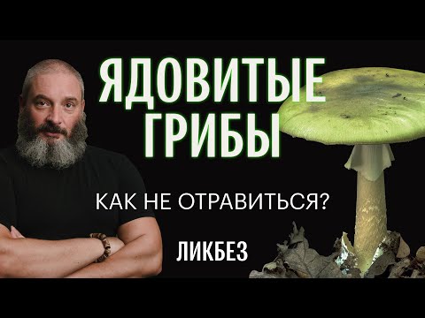 Как отличить съедобные грибы от их ядовитых двойников. Михаил Вишневский