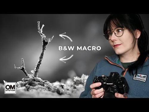 Black and White Macro Photography | Winter Fungi Vlog