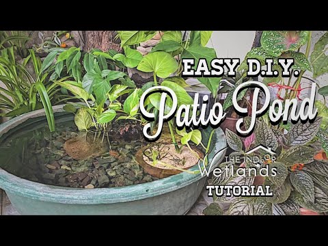 Part 1 - EASY (and ZERO Cost) DIY Patio Pond Tutorial by The Indoor Wetlands