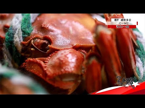 黑土地 20251123:小河蟹如何賣出大價錢