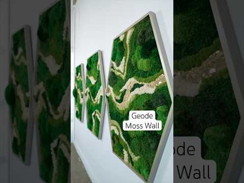 My Geode Moss Wall with gold glass mosaic ✨ #mosswall #greenwall #artinstallation #mosaic #greenery