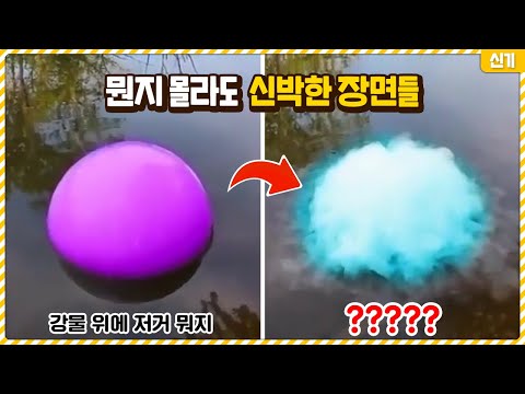 뭔지 몰라도 넋 놓고 끝까지 보게 되는 신박한 장면들ㄷㄷ