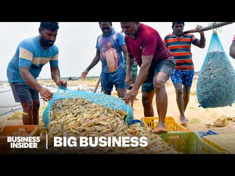 How India Took Over America’s Shrimp Supply | Big Business | Business Insider