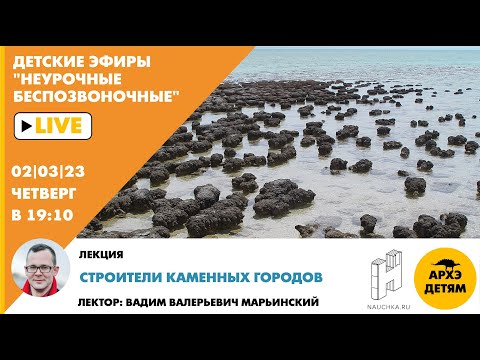 Детский эфир "Строители каменных городов" курса "Неурочные беспозвоночные" с Вадимом Марьинским