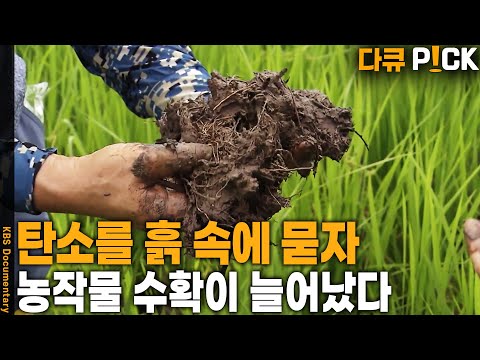 산업계가 줄이기 어려운 탄소를 농업이 대신 줄인다! 고조되는 지구 온난화 위기 '흙'의 놀라운 발견 | KBS 20211219 방송