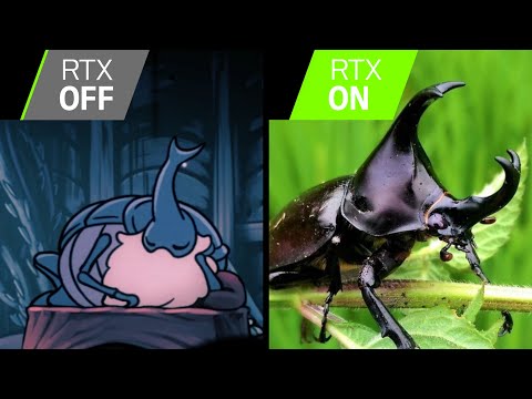 The Real Life Bugs of Hollow Knight