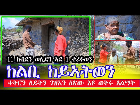 ቀትርን ለይትን ጸልማት እየን ኣክላብ እንዳኣተውና 11 ከብደይ ወሊደ ሓደ ተሪፍኒ ንሱ ዉን ምእላይ ይኣብየኒ