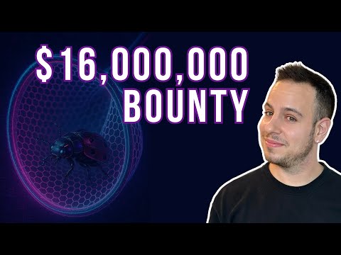 Bug Bounty Hunters in Web3: How to Start and How Much You Can Make