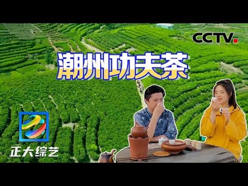 潮州人怎么泡工夫茶?偷得浮生半日闲,品一杯凤凰单丛茶 | CCTV「正大综艺」