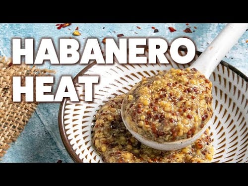 Homemade Spicy Mustard Recipe (Whole Grain)