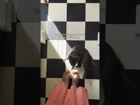 This L.A. Bungalow is 650 sqft of charm @kristin.lundeen #apartmenttherapy #bungalowdesign #decor