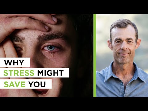 Yes, Stress Can Be Good: The Health Benefits of Doing Hard Things | Jeff Krasno