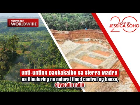 Unti-unting pagkakalbo sa Sierra Madre, siyasatin natin | Kapuso Mo, Jessica Soho