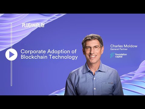 Corporate Adoption of Blockchain | Plug and Play Summit 2023 Fintech VC Panel