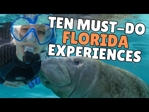 10 Things Everybody MUST DO in Florida!: The Ultimate Florida Bucket List