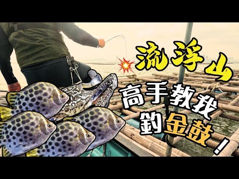 【流浮山釣魚】高手教我釣金鼓!第一次踏上蠔排!能在危險釣場中爆釣嗎?#fishing #艇釣 #釣魚