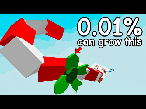 Using Jumbo Shroomies to Grow the BIGGEST Christmas Plants