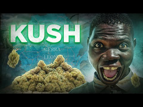 La devastante DROGA sintetica che sta piegando l'Africa (e potrebbe arrivare in Europa)