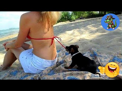 VERSUCHE NICHT ZU LACHEN !!! 🤣🤣🤣 #106