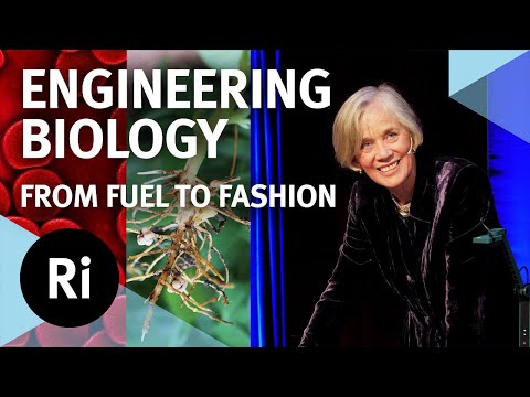 The future of engineering biology - with Angela McLean