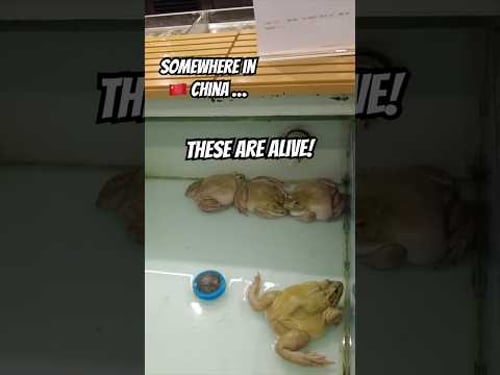 I couldn’t believe this was inside a supermarket in CHINA 🇨🇳