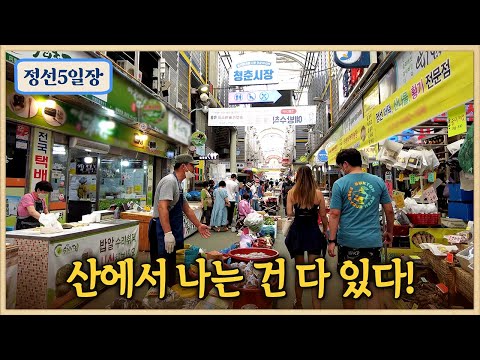 강원도 먹거리/심마니 아내의 정선5일장/정선아리랑시장/자연산 아줌마/흰목이버섯,노루궁뎅이버섯,메밀전병,메밀전,수수부꾸미,올챙이국수,감자옹심이,수리취떡