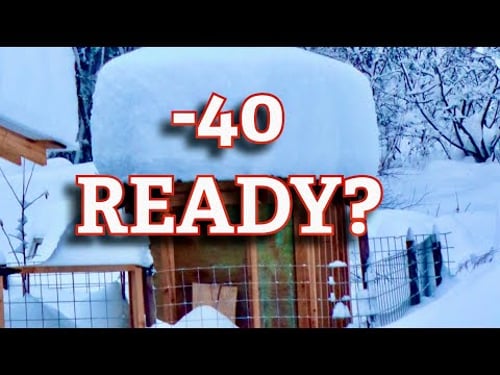 Building a chicken coop for -40 degrees