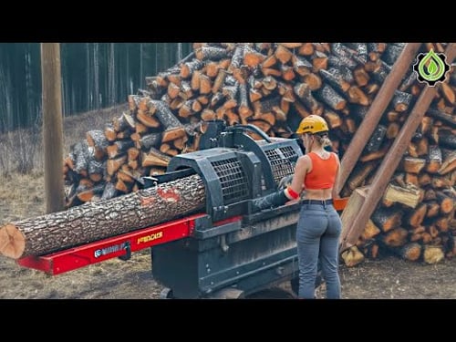 Fastest Biggest Firewood Processing Machine | Dangerous Big Chainsaw Cutting Tree machines #21