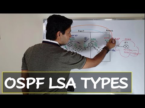 OSPF LSA Types