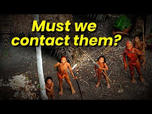 The Uncontacted People of the Amazon