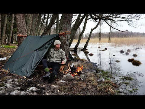 Winter Camping in the Frozen Wetlands - Tarp tent, bushcraft