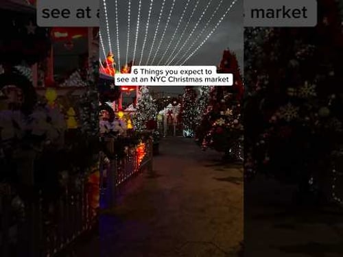 Fun Things You Expect to Find at a New York City Holiday Market #christmas #shorts #nyc #travel