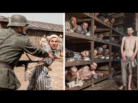 This Was the CHILLING LIFE of a Prisoner in World War 2!