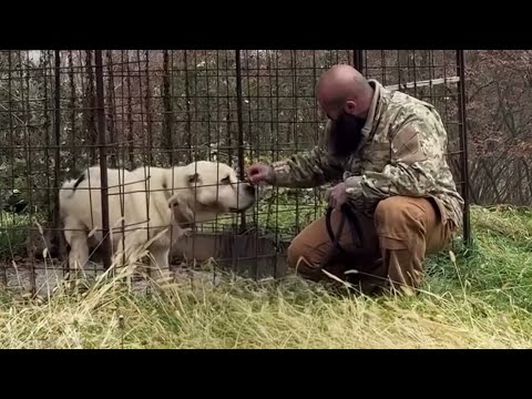 “Please Free Me”… Twelve Years in a Cage–Kissing My Hand and Begging for Freedom