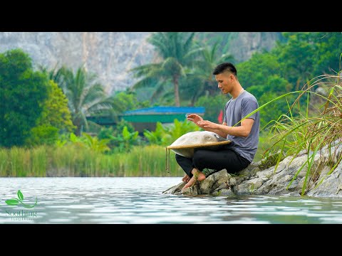 Melatonin & Stress Relief with Hang Drum | Cleanse Toxins, Calm the Soul #3
