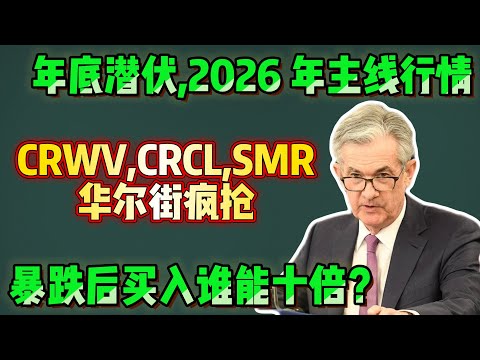 市场正在错杀,这可能是今年最后一个黄金坑|SMR CRCL CRWV 全部被砸错了 #美股 #投资机会 #十二月行情