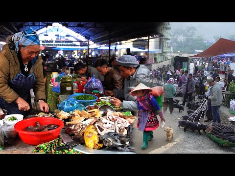 SỐC! Một Ngày Ở Chợ Sín Chéng Lào Cai – Nhộn Nhịp, Ẩm Thực & Sắc Màu Núi Rừng