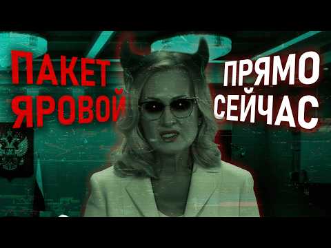 ТОТАЛЬНАЯ СЛЕЖКА ЗА ВСЕМИ? Кратко о том, что такое Пакет Яровой и как этот закон работает в России
