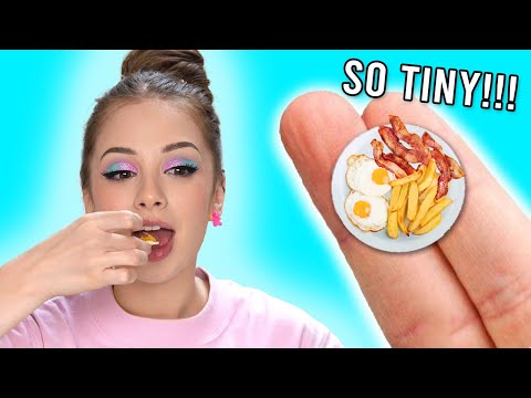 I TRIED MINIATURE COOKING