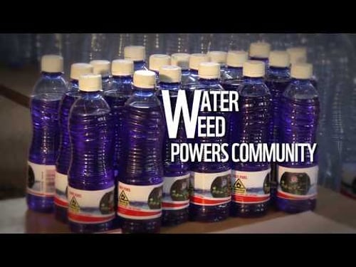 Biofuel from Water Hyacinth opens a world of possibilities for Kisumu residents