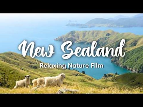 NEW ZEALAND (2025) | Scenic Nature Film with Relaxing Music