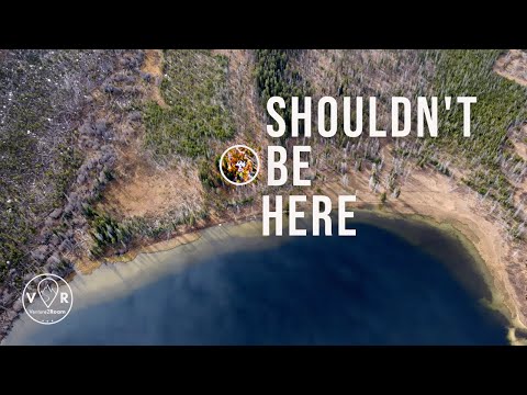 I FOUND a Plane Wreck with a SECRET WEAPON in the Idaho Mountains