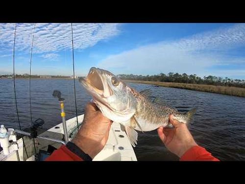 DIY Soft Plastic Swimbaits vs Cold-Water Trout (Surprising Results) #handmadelure #fishinglure