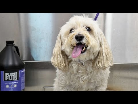 This One Is Different...My Most Special Client ❤️