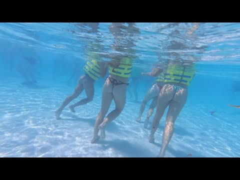 Water Park Rapid River Lazy #waterpark #shorts #travel